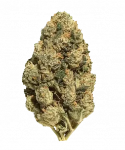 Fried Ice Cream, vanilya ve nane aromalı, rahatlatıcı bir indica türüdür. Yüksek THC içeriğiyle stres ve ağrı gidermede etkilidir. Şimdi keşfedin.