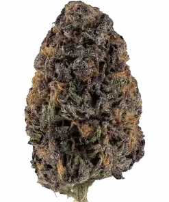 Deep Purple Crush, tatlı ve ekşi aromaları ile öne çıkan Indica baskın bir türdür. Enerjik etkileri ve yüksek verimiyle dikkat çeker. Özelliklerini keşfedin.