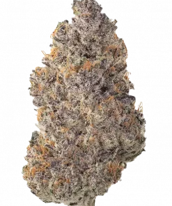 Deluxe Slurbet, meyvemsi aroması ve rahatlatıcı etkisiyle öne çıkan Indica ağırlıklı bir türdür. Depresyon için ideal. Genetik yapısını keşfedin ve detayları görüntüleyin.