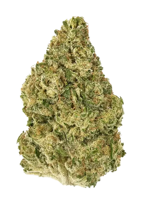 Desfrán, karamel ve elma notalarıyla öne çıkan Sativa baskın bir türdür. Yüksek THC içeriğiyle enerji verici etkilerini keşfedin ve genetik yapısını inceleyin.