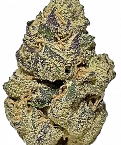 Designer Runtz, çilek aromaları ve yüksek THC içeriğiyle öne çıkan Indica baskın bir türdür. Rahatlatıcı etkilerini ve genetik yapısını keşfedin.