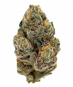 Detroit Runtz, tatlı-ekşi aroması ve yüksek THC içeriğiyle öne çıkan dengeli bir hibrit türdür. Enerji ve odaklanma etkilerini keşfedin.