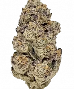 Devil Driver, benzersiz narenciye ve üzüm aromasıyla öne çıkan Sativa baskın bir türdür. Yüksek THC içeriğiyle enerji verici etkilerini keşfedin.