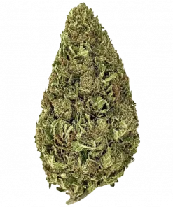 Diablo’s Delight XL Auto, tropikal aromaları ve rahatlatıcı etkileriyle bilinen Indica dominant bir türdür. Yüksek verimli bu türün genetik yapısını keşfedin.