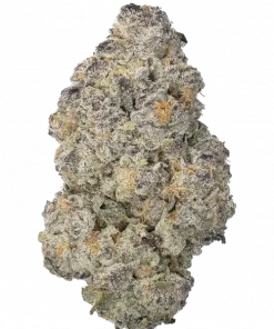 Diamond Daggers, tropikal aromaları ve rahatlatıcı etkileriyle bilinen Indica ağırlıklı bir türdür. Uykusuzluğa iyi gelir. Genetik yapısını keşfedin.