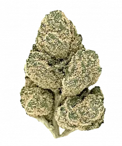 Diamond Dust, tatlı ve baharatlı aromalarıyla öne çıkan Indica baskın bir türdür. THC içeriğiyle öfori ve rahatlama sunar. Genetik yapısını keşfedin.