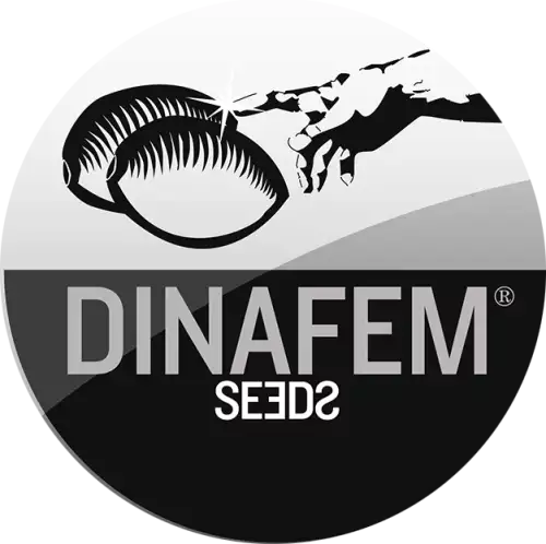Dinafem
