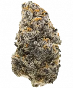 Dip N’ Stax RBX1, tatlı üzüm aromasıyla öne çıkan Indica dominant bir türdür. Stres ve ağrı için ideal genetik yapısını keşfedin ve etkilerini görüntüleyin.