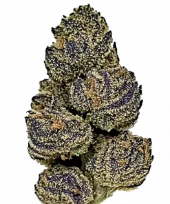 Dip N Stix, tatlı narenciye aroması ve yüksek THC içeriğiyle bilinen Sativa baskın bir türdür. Öforik etkileri ve genetik yapısını keşfedin.