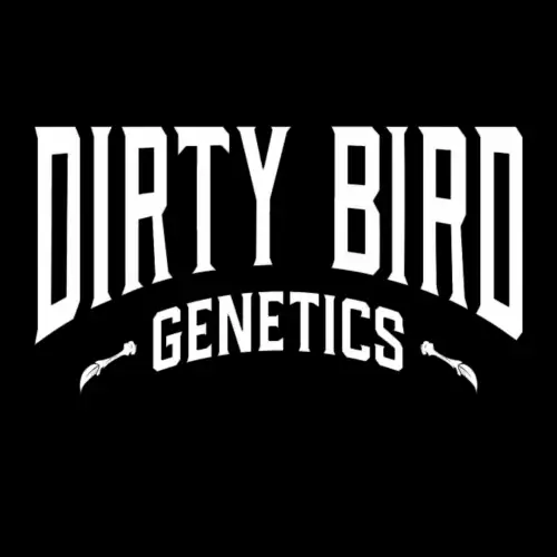 Dirty Bird Genetics