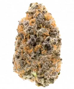 Dirty Laundry, yakıtımsı aroması ve -26 THC oranıyla öne çıkan indica baskın bir türdür. Yüksek hash verimi için ideal. Genetik özelliklerini keşfedin.