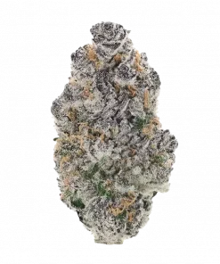 Disco Tiger, üzüm ve narenciye aromalı, yüksek THC'li Indica dominant bir türdür. Uykusuzluk ve ağrı için ideal. Bu eşsiz türü keşfedin.
