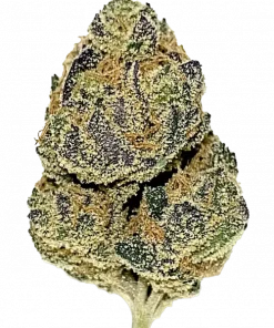 Divine Banana, vanilya aromaları ve 'a varan THC içeriğiyle öne çıkan Indica dominant bir türdür. Yüksek verimli bu türün genetik yapısını keşfedin.