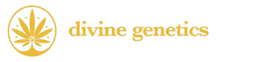 Divine Genetics