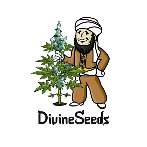 Divine Seeds