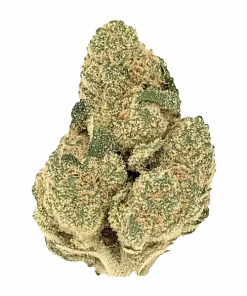 Divorce Cake, sert yakıtımsı notaları ve yüksek THC içeriğiyle bilinen Indica dominant bir türdür. Yoğun etkilerini ve genetik yapısını keşfedin.