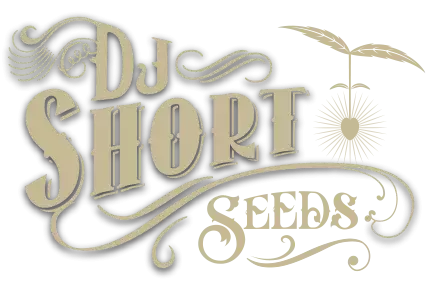 DJ Short