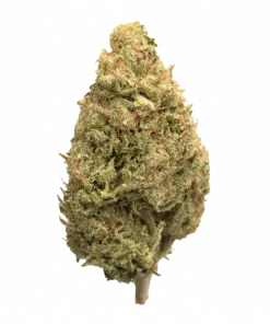 DMV OG, yakıtımsı, lime ve elma aromalarıyla öne çıkan dengeli bir hibrit türdür. THC içeriğiyle enerji ve rahatlama sunar. Özelliklerini keşfedin.