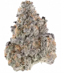 Dosidos, naneli aroması ve yüksek THC içeriğiyle bilinen Indica baskın bir türdür. Face Off OG ve Girl Scout Cookies genetiğini keşfedin ve etkilerini görüntüleyin.