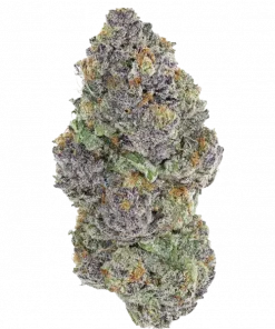 Don Carlos, böğürtlen aromaları ve yüksek THC içeriğiyle bilinen indica baskın bir türdür. Canlandırıcı etkilerini ve genetik yapısını keşfedin.