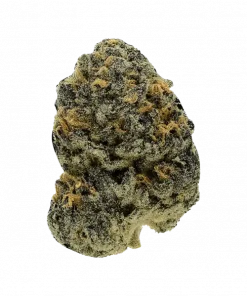 Don Legacy OG, vanilya aroması ve yüksek THC içeriğiyle bilinen Indica baskın bir türdür. Stres ve uykusuzluğa iyi gelir. Özelliklerini keşfedin.