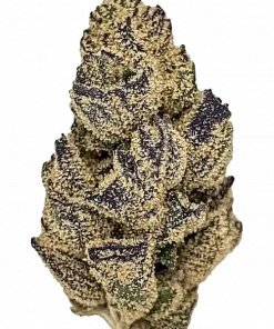 Don Shula, yakıtımsı ve limon aromaları ile öne çıkan Indica baskın bir türdür. Yüksek THC içeriğiyle dikkat çeker. Genetik yapısını ve potansiyel faydalarını keşfedin.