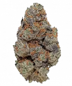 Donut Shop, kremsi aroması ve dengeli yapısıyla öne çıkan bir hibrit türdür. THC içeriğiyle keyifli bir deneyim sunar. Özelliklerini keşfedin.