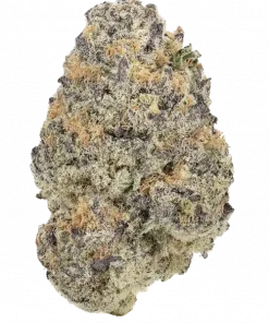 Dosimosa, narenciye ve hamur işi aromalarıyla öne çıkan güçlü bir Indica türüdür. Stres ve ağrı tedavisinde etkilidir. Genetik yapısını keşfedin.