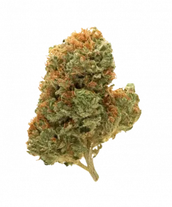 Double Afghani Kush, tatlı aroması ve rahatlatıcı etkisiyle bilinen Indica dominant bir türdür. Ağrı ve stresi azaltmaya yardımcı olabilir. Özelliklerini keşfedin.