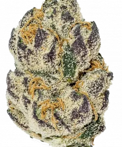 Double Burger, sert yakıtımsı aroması ve yüksek THC içeriğiyle öne çıkan Indica dominant bir türdür. Rahatlatıcı etkilerini ve genetik yapısını keşfedin.