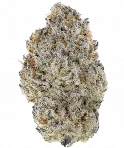 Double Delight, yakıtımsı ve tatlı kurabiye aromalarıyla öne çıkan Indica baskın bir türdür. Derin rahatlama ve mutluluk için Double Delight'ı keşfedin.