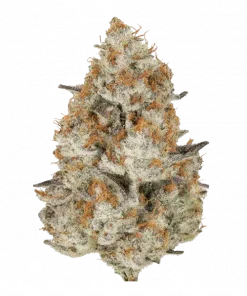 Double Donny Burger, yüksek THC'li, limon ve çam aromalı Indica baskın bir türdür. Depresyon ve uykusuzluğa iyi gelir. Etkilerini keşfedin.