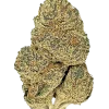 Double Dream, tropikal meyve aromaları ve yüksek sativa oranıyla bilinen bir türdür. Yaratıcılığı tetikleyen bu eşsiz türün genetik yapısını keşfedin.