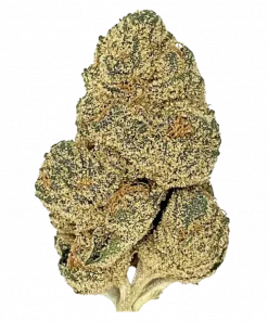 Double Dream, tropikal meyve aromaları ve yüksek sativa oranıyla bilinen bir türdür. Yaratıcılığı tetikleyen bu eşsiz türün genetik yapısını keşfedin.