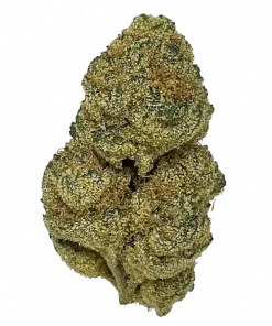 Double Gum, tatlı sakız aroması ve rahatlatıcı etkileriyle bilinen indica baskın bir türdür. Yüksek THC içeriğiyle öne çıkar. Özelliklerini keşfedin.