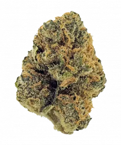 Double OG Chem, yakıtımsı aromaları ve yüksek THC içeriğiyle öne çıkan Indica dominant bir türdür. Etkilerini ve genetik yapısını keşfetmek için hemen görüntüleyin.