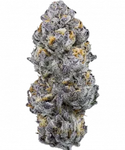 Double Sherb, tatlı meyve aromaları ve 'e varan THC içeriğiyle öne çıkan indica ağırlıklı bir türdür. Dengeli etkilerini keşfedin ve hemen görüntüleyin.