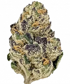 Double Stuffed, vanilya aroması ve rahatlatıcı etkisiyle bilinen indica dominant bir türdür. Yüksek verimli ve kristal kaplı yapısıyla keşfedin.