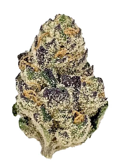 Double Stuffed, vanilya aroması ve rahatlatıcı etkisiyle bilinen indica dominant bir türdür. Yüksek verimli ve kristal kaplı yapısıyla keşfedin.