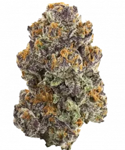 Doughlato, vanilya ve şekerli üzüm aromalarıyla öne çıkan, yüksek THC'li bir hibrit türdür. Rahatlatıcı etkileriyle bilinen bu türün genetik yapısını keşfedin.