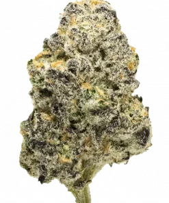 Dr. Greenman Pure CBD, çiçeksi aroması ve yüksek CBD içeriğiyle öne çıkan indica baskın türdür. Gerginliği azaltan etkilerini keşfedin ve detaylı inceleyin.