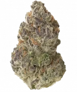 Dracula, sarımsak aroması ve yüksek THC içeriğiyle öne çıkan Indica baskın bir türdür. Derin rahatlama ve potansiyel faydalarını keşfedin.