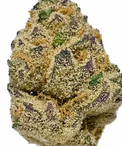 Dragon Fruit, tropikal meyve aromaları ve THC oranıyla öne çıkan dengeli bir hibrit türdür. Mutluluk verici etkilerini keşfedin ve genetik yapısını görüntüleyin.