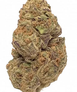 Dream Queen, yakıtımsı ve skunk aromalarıyla öne çıkan, Sativa baskın bir türdür. Yüksek THC içeriğiyle yaratıcılığı artırır. Genetik yapısını keşfedin.