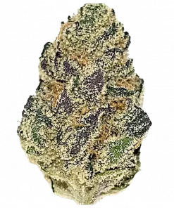 Dreamsicle, kremsi meyve aromaları ve dengeli etkisiyle öne çıkan hibrit bir türdür. Yüksek THC içeriğiyle rahatlama ve yaratıcılığı keşfedin. Hemen görüntüleyin.