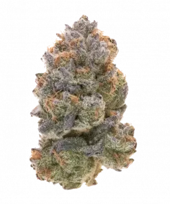 Dripicane, tatlı meyve aromaları ve rahatlatıcı etkileriyle bilinen Indica baskın bir türdür. İştah ve stresi azaltmaya yardımcı olabilir. Özelliklerini keşfedin.