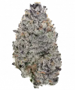 Drizzle, yakıtımsı ve meyvemsi aromalarıyla öne çıkan indica baskın bir türdür. Yüksek THC içeriğiyle derin rahatlama sağlar. Genetik yapısını keşfedin.