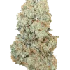 Dry Ice, yakıtımsı aroması ve dengeli etkileriyle öne çıkan hibrit bir türdür. Yüksek verim potansiyeliyle dikkat çeker. Genetik yapısını keşfedin.