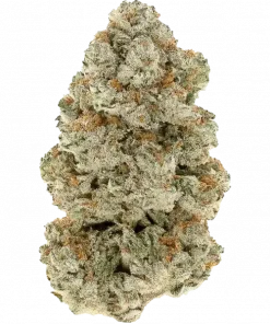 DCS Bomb Pop, tatlı meyve aromaları ve THC ile öne çıkan Indica ağırlıklı bir türdür. Yaratıcı etkilerini ve genetik yapısını keşfedin.