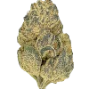 Dual OG, sert yakıtımsı aroması ve yüksek THC içeriğiyle öne çıkan Indica baskın bir türdür. Yoğun rahatlama ve yaratıcılığı keşfedin. Hemen görüntüleyin.